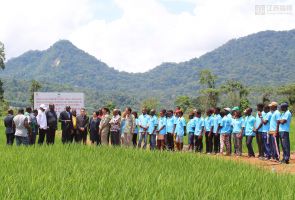 駐巴塔總領館總領事徐莊聲蒞臨示范農(nóng)場視察指導工作