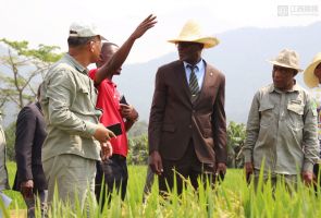 赤道幾內(nèi)亞農(nóng)業(yè)、畜牧、森林和環(huán)境部部長阿卡波到示范農(nóng)場慰問